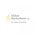 Schloss Wachenheim