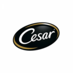 cesar-logo-300x300