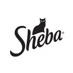 sheba-150x150-1-150x150